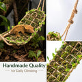 Reptile Hammock, Handmade Moss Bridge for Small Reptiles