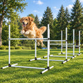 Dog Agility Hurdle Set with 32 Adjustable Bars & Ground Stakes