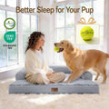 Comfort Expression Orthopedic XL Dog Bed for Large and Extra Large Dogs