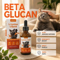 L-Lysine Beta Glucan for Cats Immune & Respiratory Drops 60ml