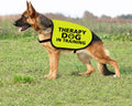 Zuo Bao Therapy Dog Jacket Vest for Large Dogs (Therapy Dog in Training-Large)