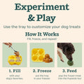 WOOF Starter Pack - Interactive Dog Ball Toy for Boredom - Dog Treat Molds Silicone - Chicken-Flavored Healthy Treats for Dogs - Pupsicle Doggy Enrichment Toy - for Large Pups - 25-75 lbs