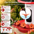 Smart Hummingbird Feeder with Camera 5G WiFi, 3K, Solar Leakproof