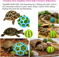 11PCS Tortoise Starter Kit with Feeding Toys, Tortoise Bathing Pool, Water & Food Dish Set, Turtle Shell Cleaning Brushe