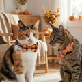 PTDECOR Fall Cat Collars with Bow, Thanksgiving Orange Plaid Cat Collars