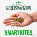 Greenies Cat Treats, Feline Smartbites, Skin & Fur Health, Crunchy and Soft Cat Treats, Salmon Flavor, 4.6 oz. Pack
