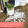 Twdrer 2lb Natural White Crystal Quartz Chips