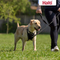 Halti No Pull Harness & Halti Training Leash Size Large, Black Combination Pack - Stop Your Dog Pulling on The Leash. Adjustable, Lightweight and Easy to Use. Suitable for Large Dogs
