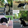 HeavenEye Disposable Dog Socks Waterproof, Dog Paw Protectors Prevent Licking, 20pcs Boots Cover &3pcs Paw Bandage, Ligh