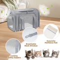Large Cat Carrier Soft Up to 28 Lbs, Breathable Pet Bag with Steel Frame