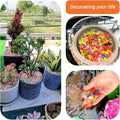 Orange Pebbles for Crafts, 0.9 Pound Natural Polished Aquarium Gravel, Decorative Pebbles for Indoor Plants, Turtle Tank