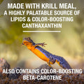Tetra ReptoTreat Supplemental Turtle Food Sticks with Krill Meal, 2.18 oz