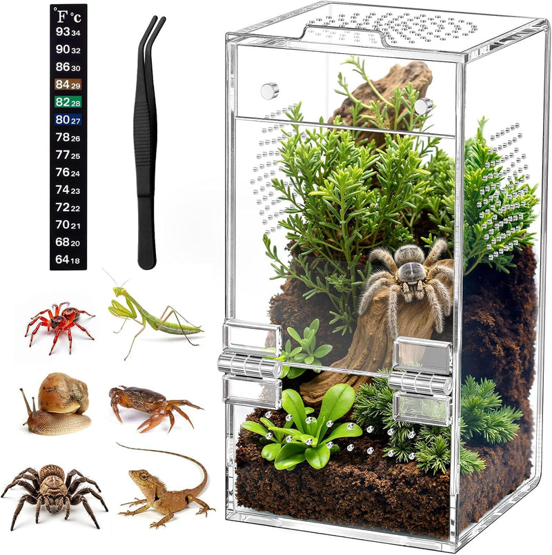 Pre-Assembled Jumping Spider Enclosure, All-Side Ventilation