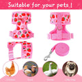 Frienda 2 Pcs Medium Chicken Duck Harness and Leash, Pineapple Strawberry