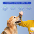 Skin & Coat Supplement for Dogs, Omega 3 Fish Oil for Shedding & Dry Skin