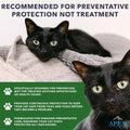 Apex Plus Cat Flea and Tick Treatment | 6-Month Supply, Over 1.5 lbs | Flea Treatment for Cats & Kittens | 24-Hour Activation, Waterproof, 30-Day Protection