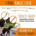 Mighty Paw Hands Free Dog Leash | Bungee Waist Leash for Dog Walking. Pet Running Hands Free Tether for Large, Medium & 
