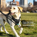 rabbitgoo Dog Harness, No Pull for Large Dogs with 2 Leash Clips, Pet Vest