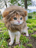 Lion Mane Wig for Cat,Dog and Cat Costume,Funny Pet Cat Costumes for Halloween Christmas, Parties, Photo Shoots