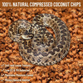 Riare 10LB Coconut Husk Chip for Reptiles, 72 Quart Coconut Fiber Substrate