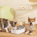 JUNSPOW Automatic Cat Water Dispenser with Stainless Steel Bowl
