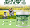 Green Lipped Mussel Powder for Dogs & Cats - 100% New Zealand Green Lipped Mussels - 800 Grams - Up to 2,665 Servings