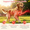 VUN Dog Heart Supplements–Dogs Cardio Support Soft Chews with CoQ10,Cardiovascular & Antioxidant Support with L-Carnitine for Senior Dogs Vitality& Energy Support,100 Counts