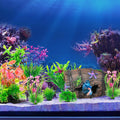 CousDUoBe Fish Broken Barrel Decor Fish Tank Decorations Betta Fish Tank Accessories,Starfish Barrel x 1pc, Aquarium Pla