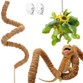 Homedy Crafts Bearded Dragon Climbing Bridge with Veggie Feeder Ball – Bendable Vine Enrichment Route for Large Tanks, Greens Intro Kit, Reptile/Lizard Tank Accessories (Salad Feeder Ball)