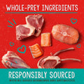 Stella & Chewy's Freeze-Dried Raw Dog Food for Skin & Coat - Grass-Fed Lamb & Wild-Caught Salmon - Natural Solution for 