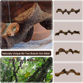BNOSDM 2PCS Natural Reptile Climbing Branches Decor,1.8-2.2" Thick Natural Snake Climbing Forest Wood with Plant Leaf De
