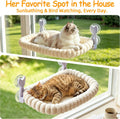 Cat Window Hammock - Beige Cordless Foldable Perch for All Cats
