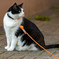 Cat Leash, 15 ft & 30 ft Reflective Long Pet Leash for Outdoor Use