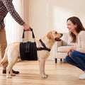 CWV Adjustable All Dog Lift Harness for Large Dogs
