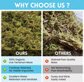 Riare 8 OZ Natural Sphagnum Moss for Reptiles, Terrarium Substrate Bedding