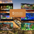 Sunken Ship Aquarium Background Undersea Pirate Shipwreck Fish Tank Background Tropical Coral Reefs Ocean Seabed seascap