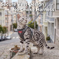 pangdi Cat Harness and Leash Kitten Harness Escape Proof Lightweight Breathable Mesh Cat Leash for Walking Travel, Grey, X-Large