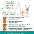 Meowbiotics Good Guts for Cats Probiotic Powder, 11 Probiotic Strains, 2 Prebiotics, 5 Digestive Enzymes for Digestive Support, Tuna Flavor, Probiotics for Cats, Indoor & Outdoor (30 Days)