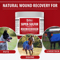 Jeffers Super Sulfur Natural Healing Paste for Dogs, Cats & Horses 8 oz – Wound Care, Skin & Coat Support for Animals, S