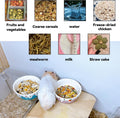 2 Pack Ceramic Guinea Pig Food Bowl Hamster Food Bowls for Gerbil Rat