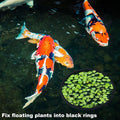 PAGOW 10pcs Fish Feeding Rings Set, 5 Sizes Floating Aquarium Plant Corral