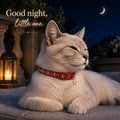 waaag Cat Collar, Gold Moons and Stars Cat Collar, Safety Breakaway Cat Collar with Bell, Glow in the Dark (Kitten 6.5"-10" Neck, Scarlet)