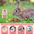 KATUMO Bunny Chew Toys, Natural Rabbit Treats for Guinea Pig