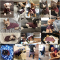 Dog Sweaters for Small Dogs, Soft Fleece Puppy Clothes, Warm Winter Coat
