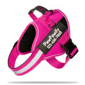 PawPawify Custom No Pull Dog Harness with Name and Phone Number, Heavy Duty Personalized Pet Vest to Prevent Tugging, Pulling, or Choking, Training and Walking (New Pink, S (10-19LBS))