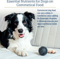 Rx Vitamins Essentials for Dogs - Daily Vitamins & Minerals - with Blue Spirulina, Kelp Powder, and Milk Thistle - Complete Canine Vitamins and Essential Minerals Powder - 8 oz