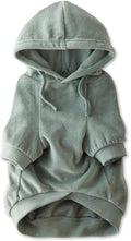 Pet Passion Cooper II Dog Hoodie, Sage, Large