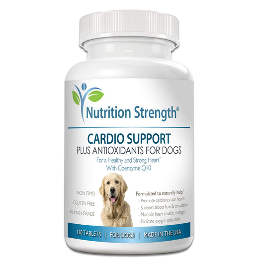 Nutrition Strength Cardio Support for Dogs Plus Antioxidant, L-Carnitine, L-Taurine, with Coenzyme Q10 and Vitamin E, Promotes a Healthy and Strong Dog Heart, 120 Chewable Tablets