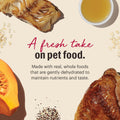 The Honest Kitchen Human Grade Wholemade Dehydrated Whole Grain Dog Food, Whole Grain Turkey and White Fish, 10lbs