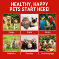 Styptic Powder for Dogs, Cats, and Birds (2 oz) by Evo Dyne | Fast-Acting Blood Stop for Pets | Quick Stop Bleeding Powder for Dog Nail Clipping, Grooming, Cuts and More (1-Pack)